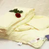 Шелковое одеяло 160/210 зимнее Элит ("Elisabette") KingSilk