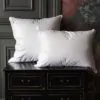 Подушка пуховая GERMAN GRASS GRAND DOWN GRASS (средняя)