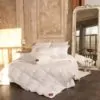 Одеяло пуховое GRAND DOWN GRASS