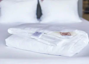 Одеяло шелковое LUXURY SILK GRASS 2