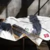 Наматрасник Mattress Organic Linen Grass купить в Москве