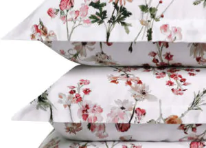 Постельное белье сатин Философия Lorenzo Serafini Cotton Dreams 3