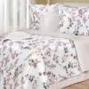 Постельное белье сатин Философия Lorenzo Serafini Cotton Dreams