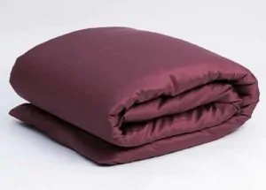 Постельное белье PURPLE BRILLIANT GRASS пододеяльник