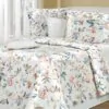 Постельное белье перкаль Guliani Cotton Dreams Valencia