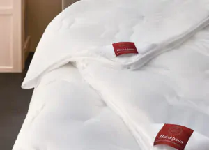 Одеяло BRINKHAUS BAUSCHI LUX легкое