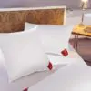 Подушка пуховая Brinkhaus DOWN SURROUND