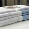 Набор полотенец Claire Batiste Atelier Brise бело/голубой