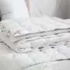Одеяло пуховое SILVER DOWN GRASS
