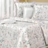 Постельное белье сатин Sinatra COTTON DREAMS Premiata